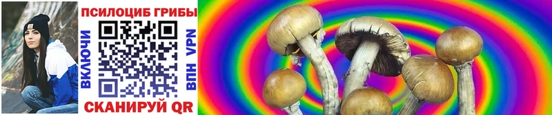 Купить  Белорецк  Галлюциногенные грибы ЛСД 